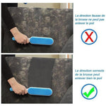 Brosse Anti-Poil