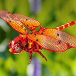 Ciaovie ™ Simulé Insecte DIY Blocs de Construction Ensemble Jouet