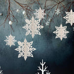 Ciaovie™ Décorations 3D en Flocon de Neige (6/12 pièces)