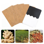 Ciaovie™ Patch De Fines Herbes Au Gingembre