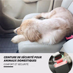Ceinture de Sécurité Ajustable Pour Animaux de Compagnie