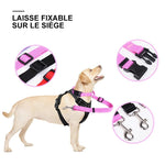 🐾Laisse Réglable pour Chien Fixable sur le Siège Auto