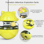 Mangeoire Interactive pour Chat Jouet pour Animal Domestique Multifonctionnel