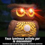 Répulsif Antiparasitaire par Ultrasons (3 pièces)