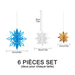 Ciaovie™ Décorations 3D en Flocon de Neige (6/12 pièces)