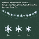 Ciaovie™ Décorations 3D en Flocon de Neige (6/12 pièces)