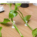 Clip Mural pour Plantes Grimpantes (30 pièces)