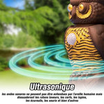 Répulsif Antiparasitaire par Ultrasons (3 pièces)