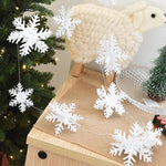 Ciaovie™ Décorations 3D en Flocon de Neige (6/12 pièces)