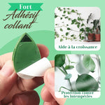 Clip de Fixation d'Artefact Grimpant pour Plantes