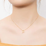 Collier de 12 Signe du Zodiaque