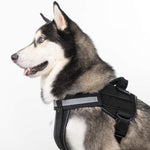Harnais Réfléchissant sans Traction pour Chien