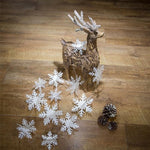 Ciaovie™ Décorations 3D en Flocon de Neige (6/12 pièces)