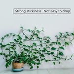 Clip Mural pour Plantes Grimpantes (30 pièces)