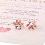 Boucles d'Oreilles Pattes de Chats Mignons