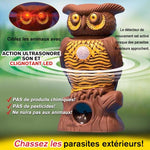 Répulsif Antiparasitaire par Ultrasons (3 pièces)