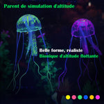Simulation d'aménagement paysager d'aquarium Méduse fluorescente transparente