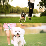 Ciaovie™ Laisse Rétractable Flexible de Chien