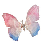 Pince à cheveux de papillon de couleur dégradée